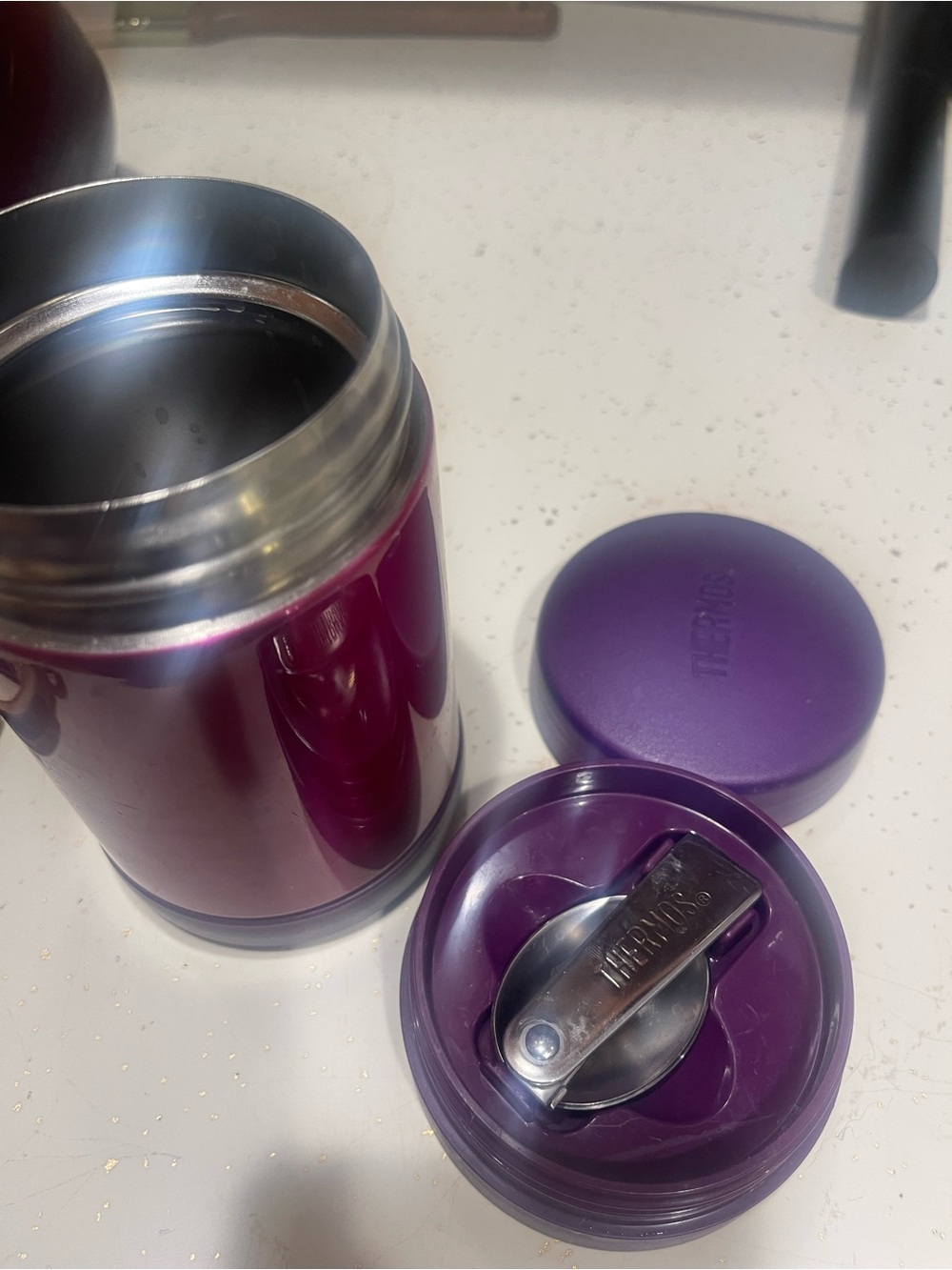 Thermos Purple Insulated Food Jar with Spoon